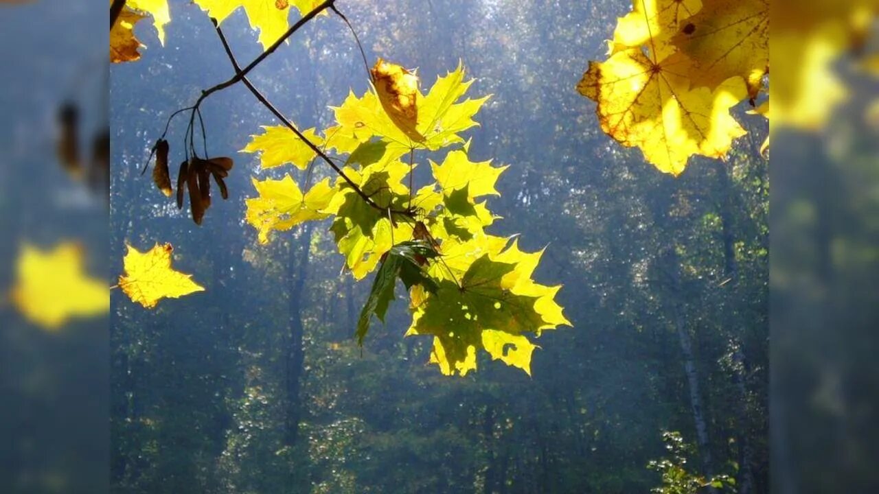 Сентябрь продолжение лета. Бабье лето. Сентябрь бабье лето. Осень бабье лето. Сентябрь.