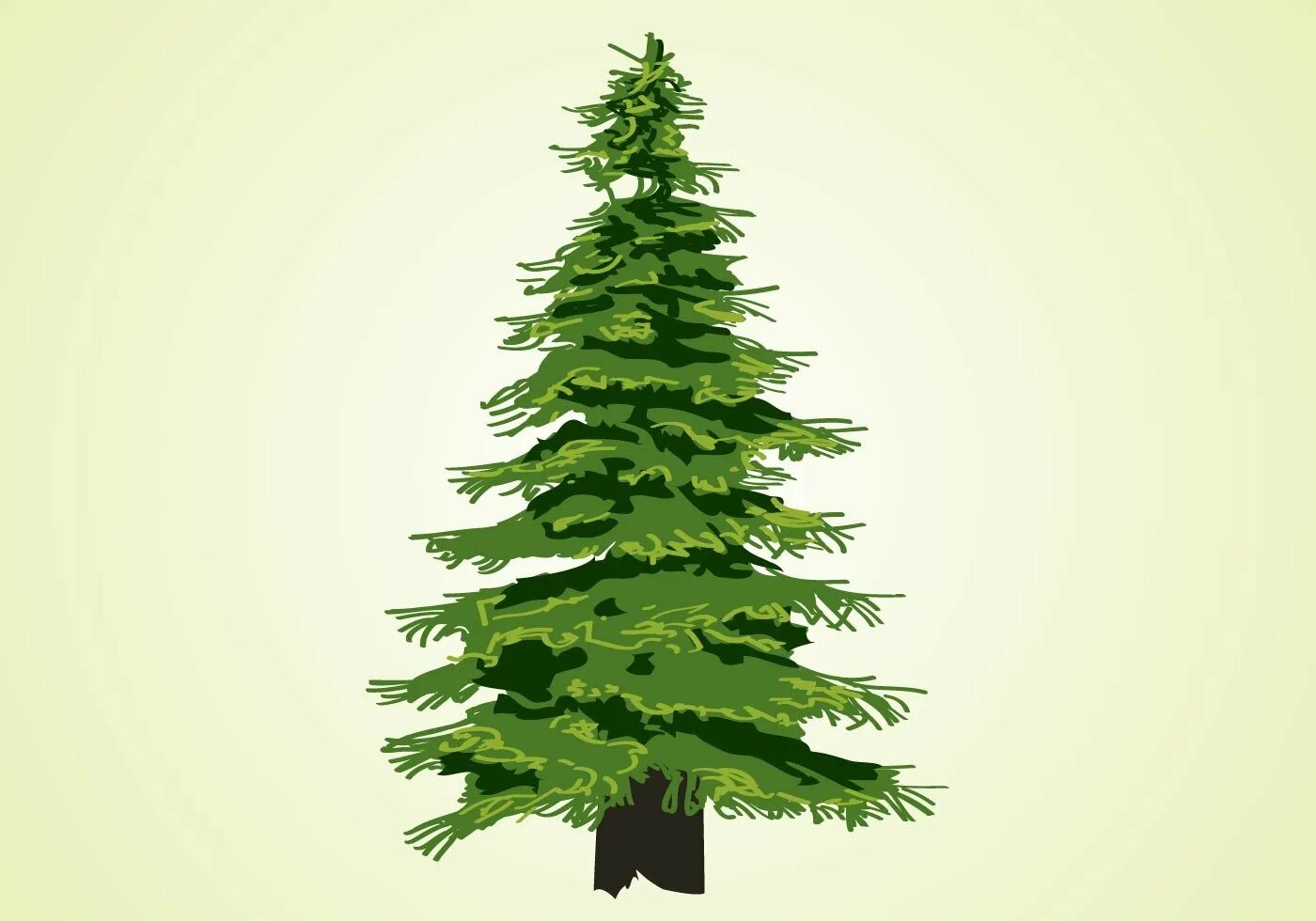 Картинка ели рисунок. Елка Annapolis fir Tree. Стилизованная ель. Ель рисунок. Нарисовать елку.