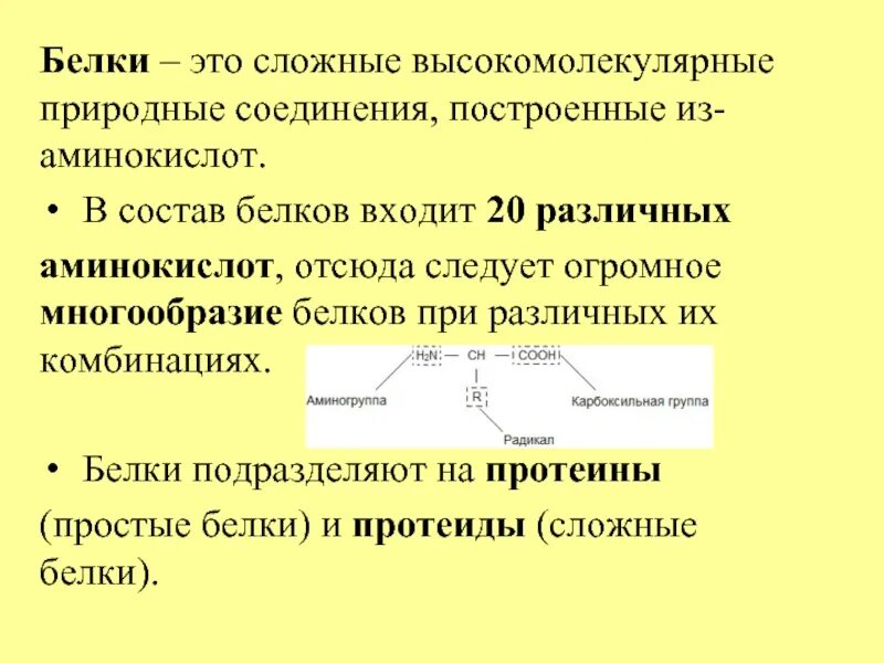 Белки группа соединений. Функциональные группы белков. Белки функциональная группа. Функциональная группа в белках. 2 Функциональные группы белков.