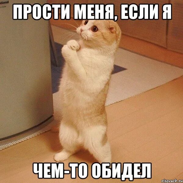 Стоит ли идти гулять. Стоит ли идти гулять