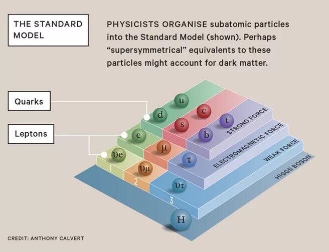The standard model