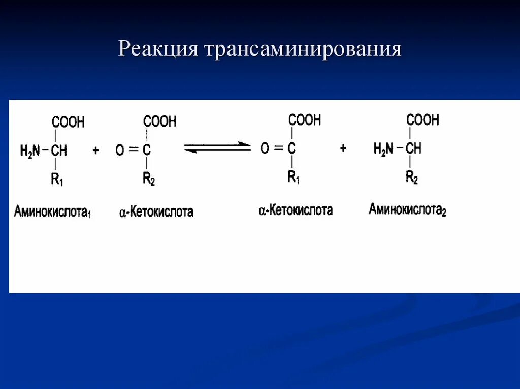 Аланин кислота реакция. Механизм реакции трансаминирования аминокислот. Трансаминирование аминокислот механизм. Трансаминирования аспарагиновой кислоты. Реакции трансаминирования Альфа-аланина.