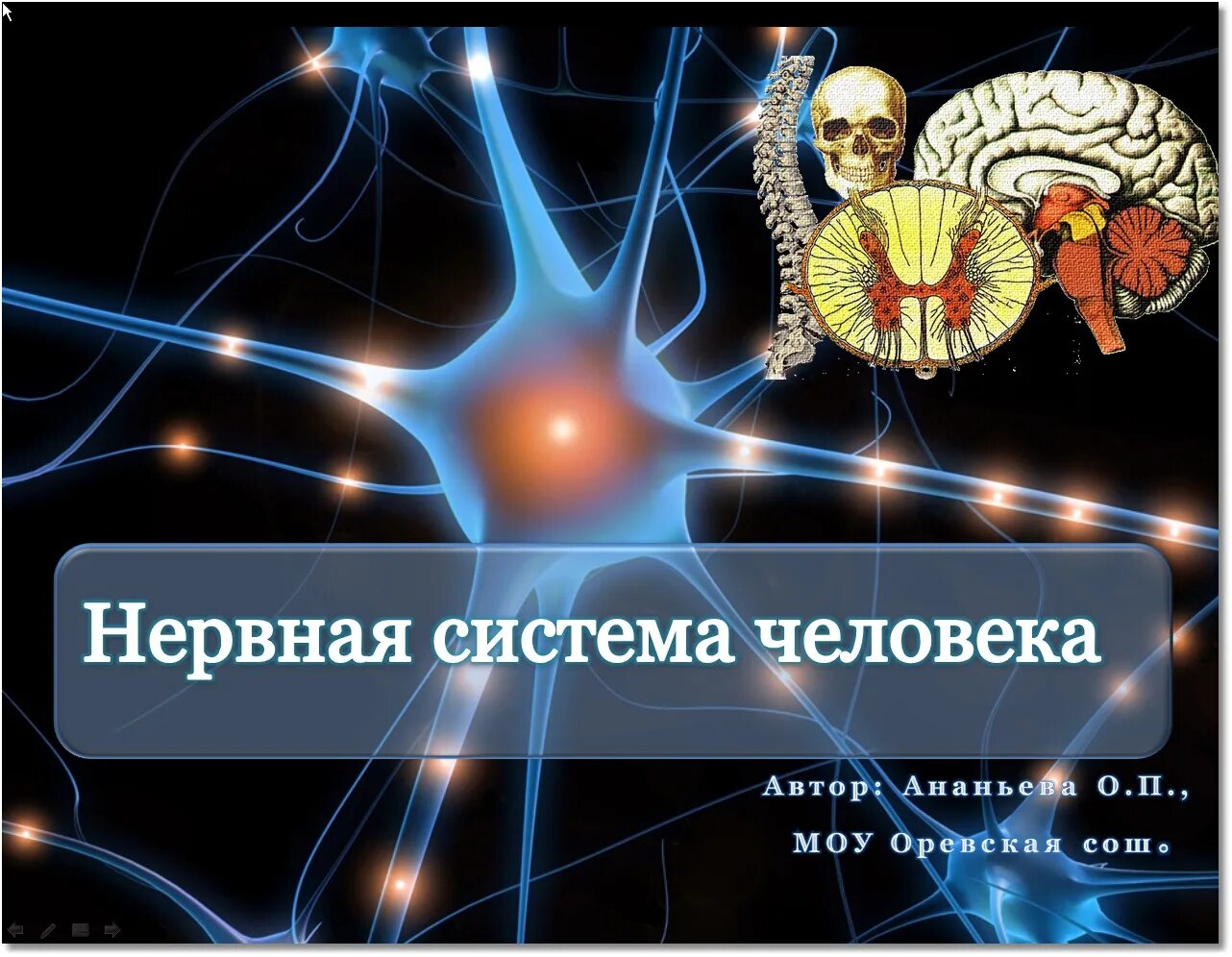 Нервная система. Нервная система человека. Нервная системачеловнка. Нервная система презентация.