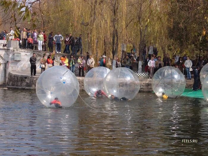 велосипед shulz bubble 14 race. велосипед shulz 16 дюймов. велосипед shulz bubble 24. Schulz bubble 14. велосипед shulz bubble 14 race.