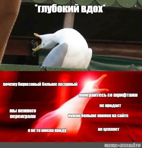 Часто глубокий вдох. Мем Гусь глубокий вдох. Мем с чайкой глубокий вдох. Чайка Мем.