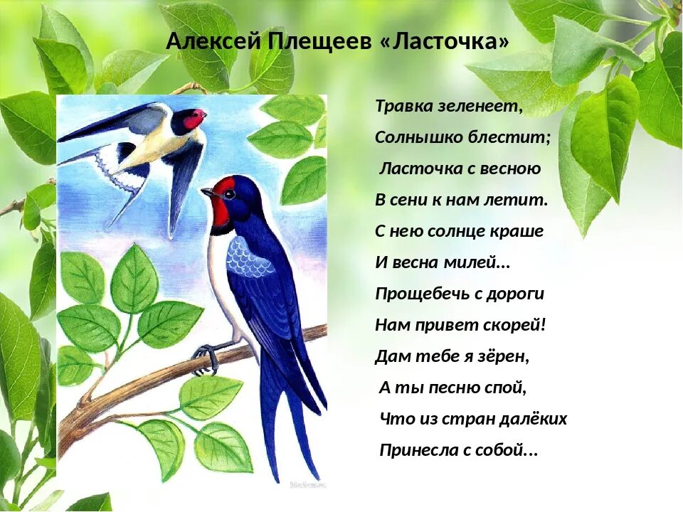 Стих Плещеева Ласточка. Плещеев травка зеленеет стихотворение. Плещеев сельская песня