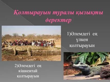 Үш мушкетер 1961 порно