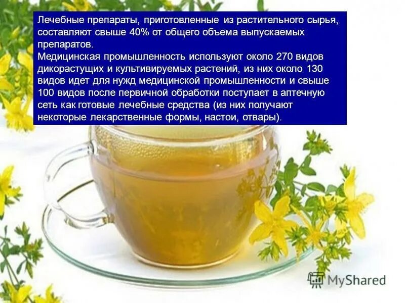 Значение ботаники для фармации. Растения в фармации. Алоэ древовидное фармакогнозия. Растения в фармации. Ботаника значение для фармации.