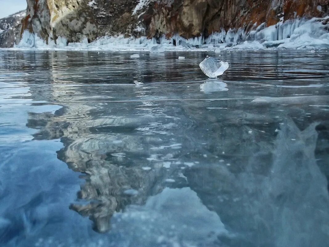 ледяные оковы. ледяные оковы дк. лед в природе. обледеневшие ветки. дельфиндор картинки.