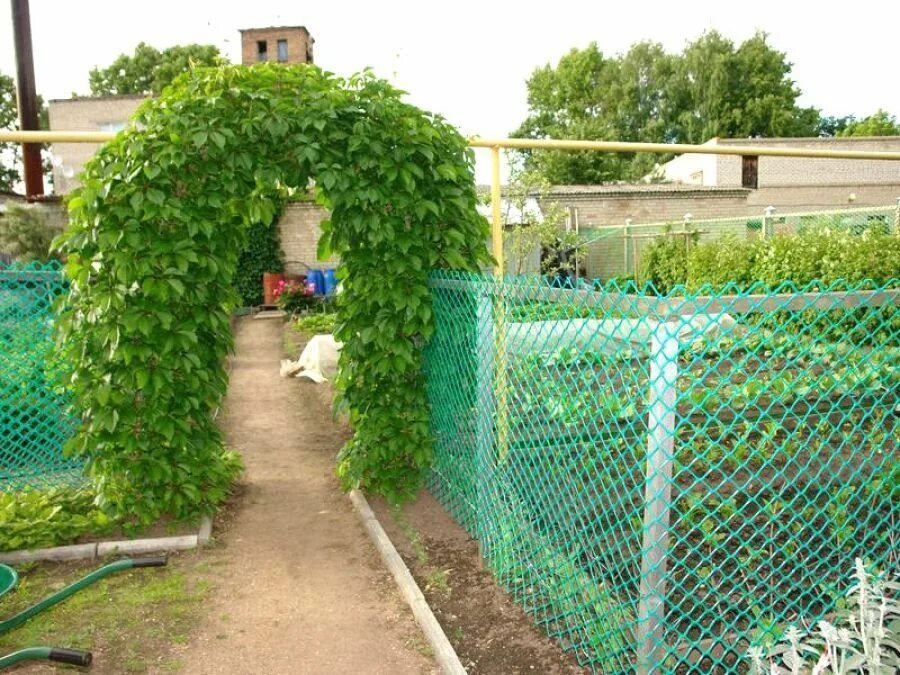 Дача сетка