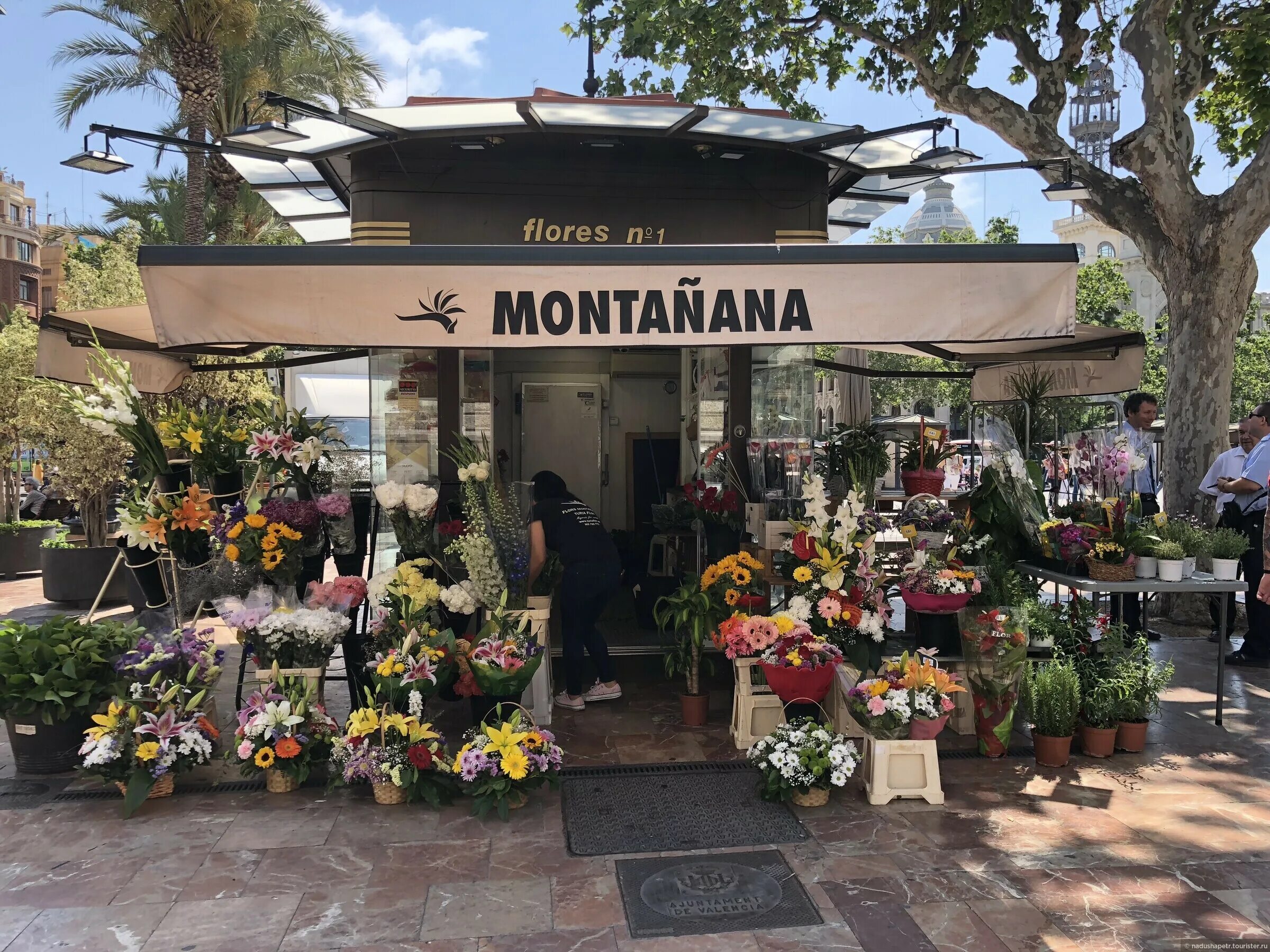 мост цветов в валенсии. испания цветы валенсия. красоты валенсии испания. фонтан в цветах. валенсия цветы.