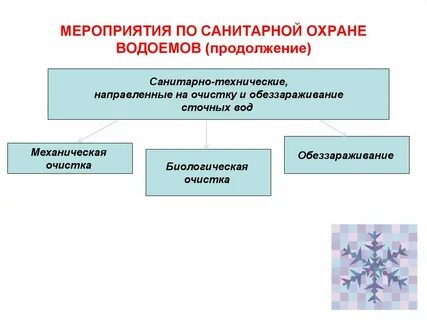 Водохозяйственные мероприятия по охране водного объекта