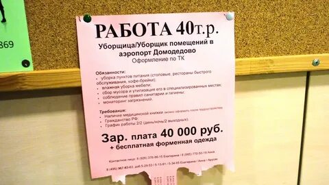 Домодедово ежедневная подработка