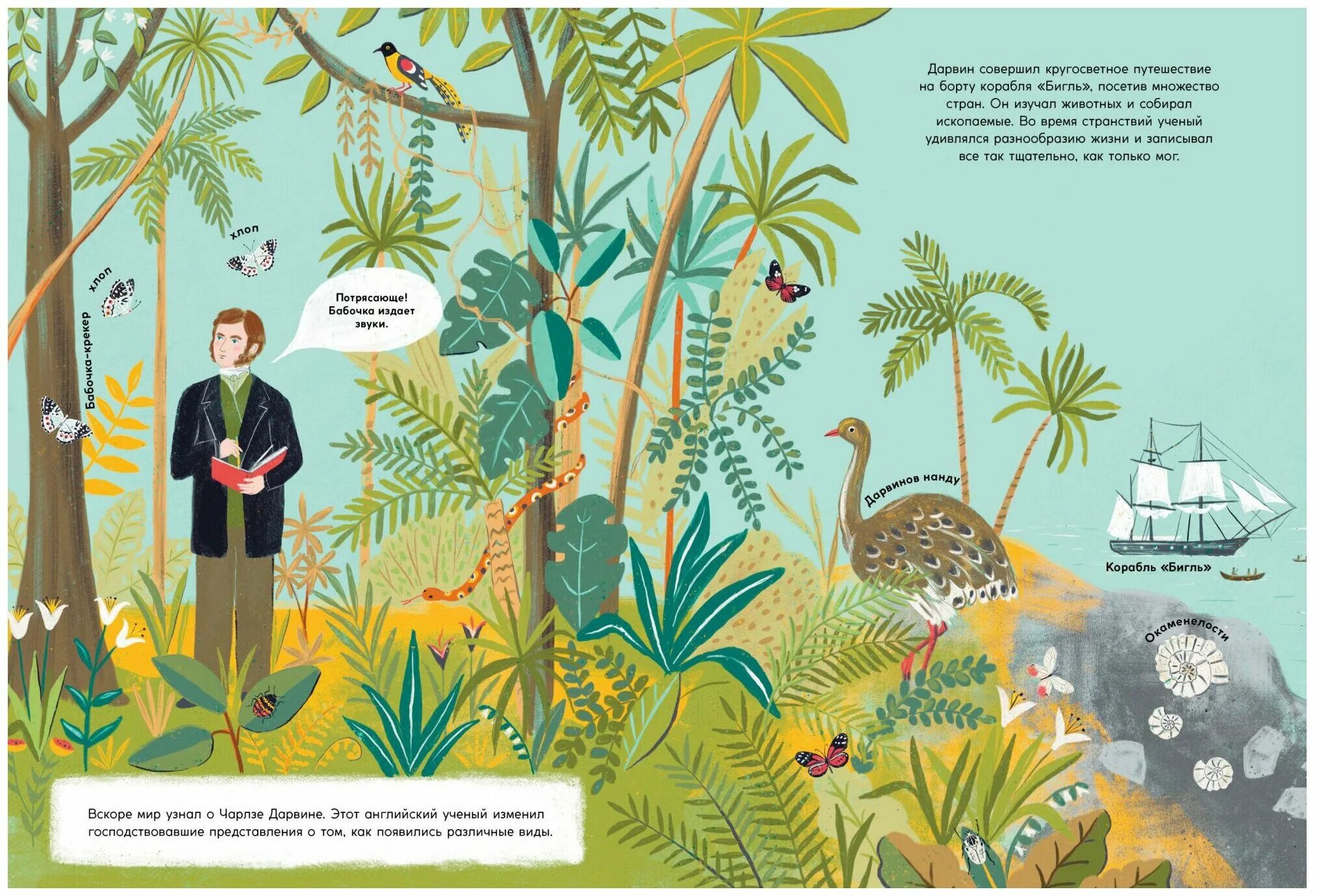 происхождение видов путём естественного отбора книга. происхождение видов путем естественного отбора книга. книга дарвина «происхождение видов путем естественного отбора» (1859). книга дарвина происхождение видов. происхождение видов 1 глава.