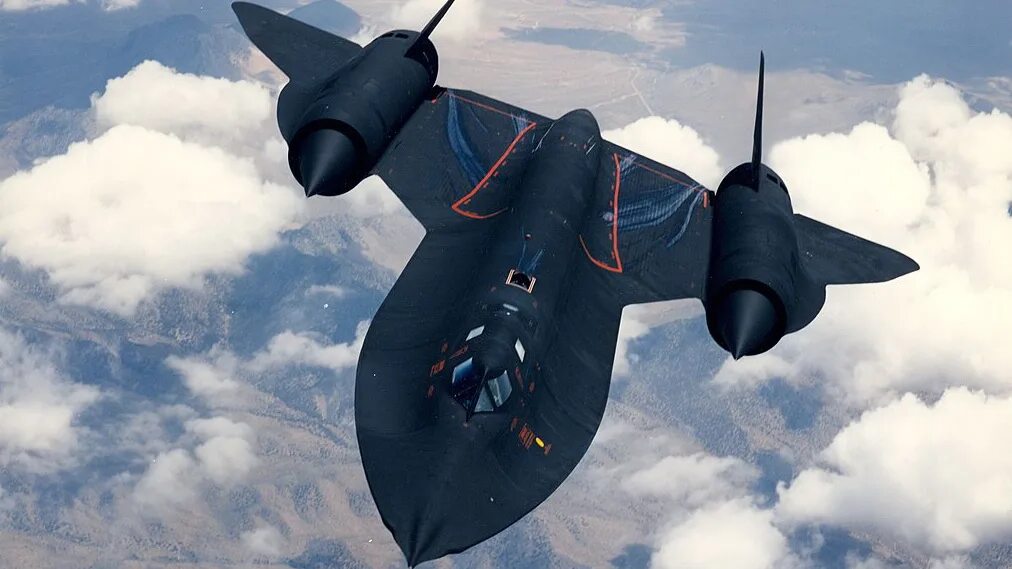 Blackbird Diaries Smithsonian