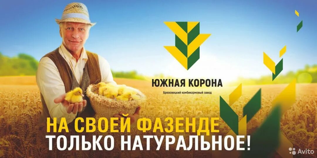 Корм золотая корона. Южная корона комбикорм для бройлеров. Корм золотая корона. Этикетка южная корона комбикорм. Золотая корона лого.