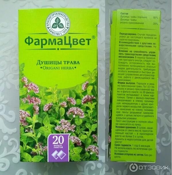 Душица обыкновенная в 2025 г Целебные травы, Лекарственные растения, Трава