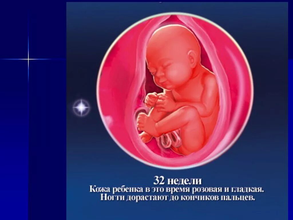Малыш в утробе матери. Недели беременности. 32 неделя беременности что происходит с малышом