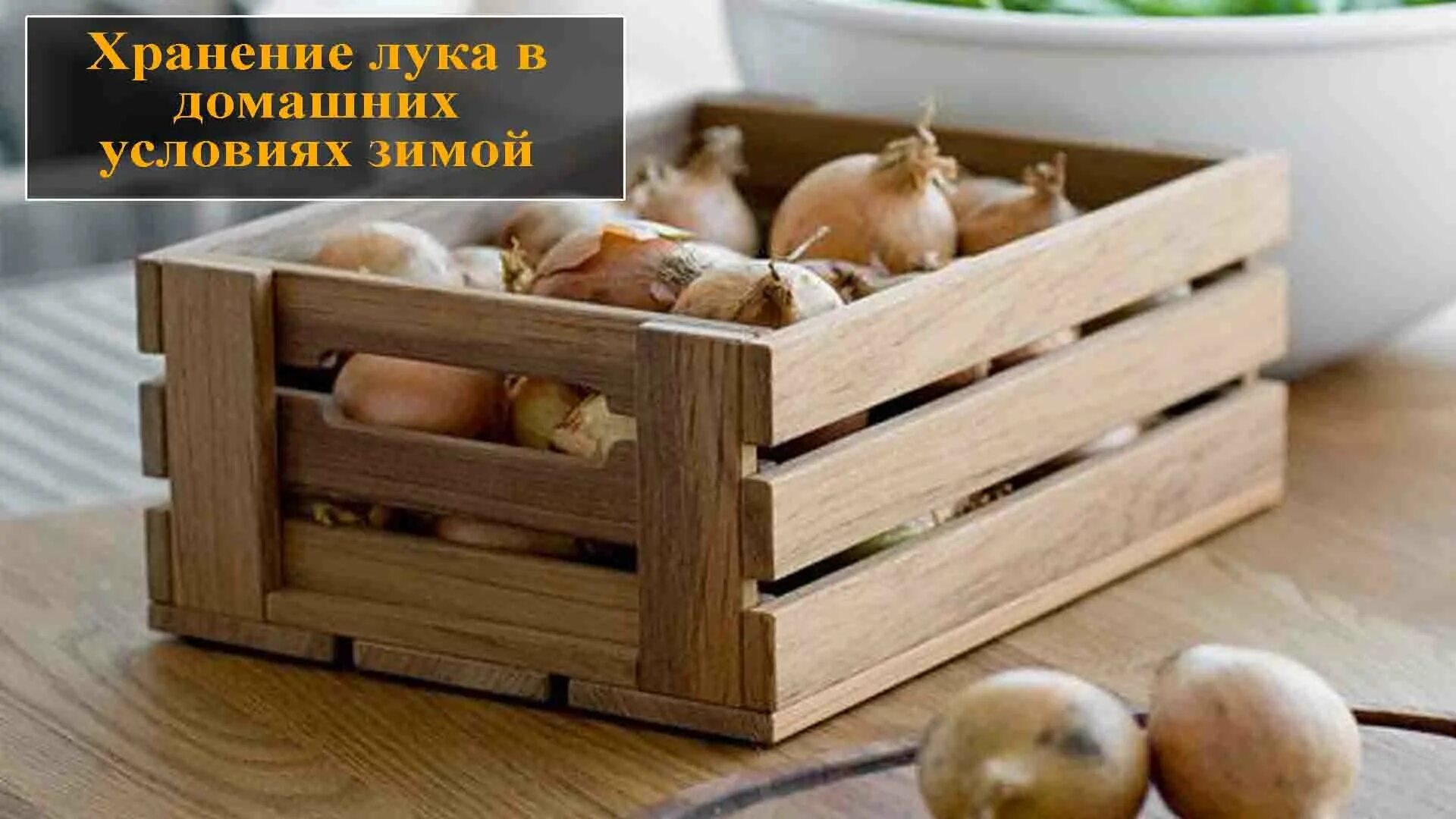 Как хранить лук зимой дома. Как хранить лук зимой дома