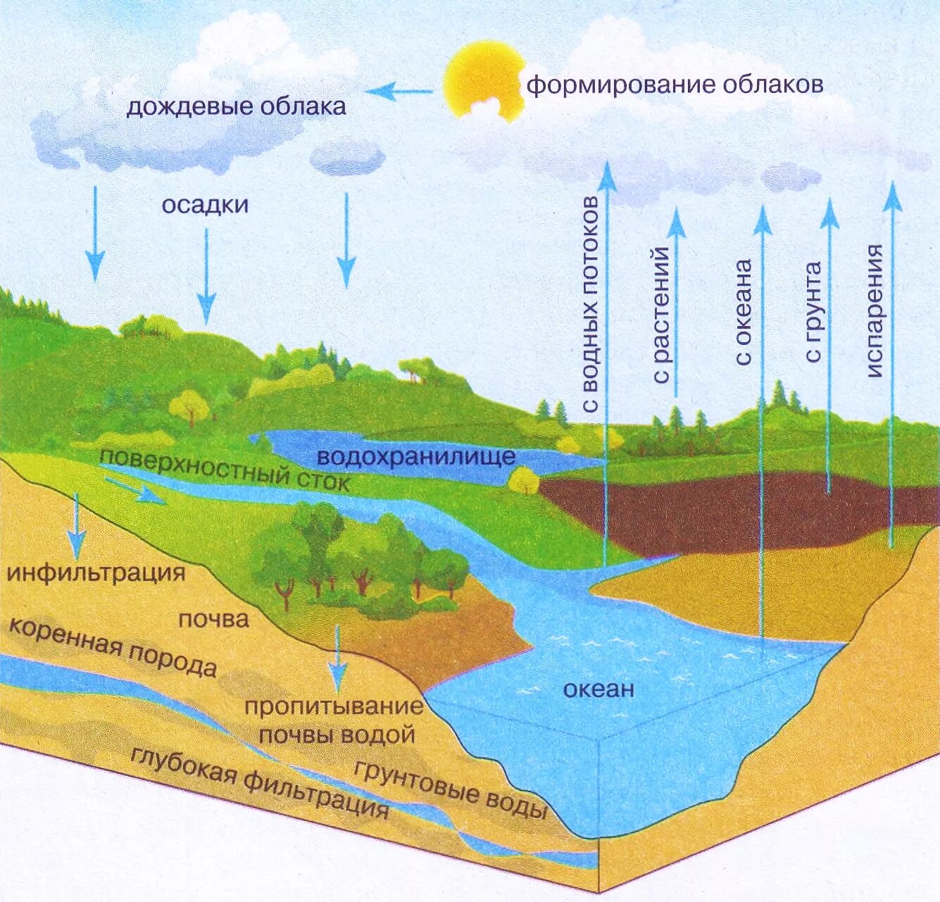 Круговорот реки. Круговорот воды в природе схема. Гидросфера круговорот воды. Этапы мирового круговорота воды в природе. Цикл воды в природе схема.