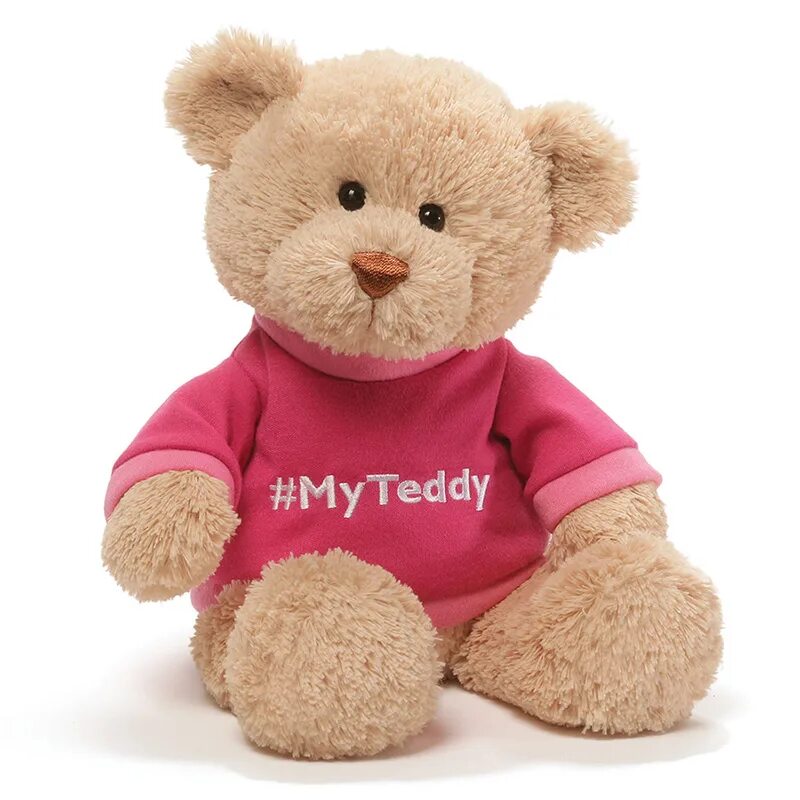 This is my teddy. Плюшевые игрушки. Красивые мягкие игрушки. Плюшевые игрушки для девочек. Медведь девочка мягкая игрушка.