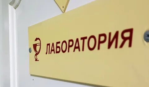 Карантин по бешенству в москве 2024