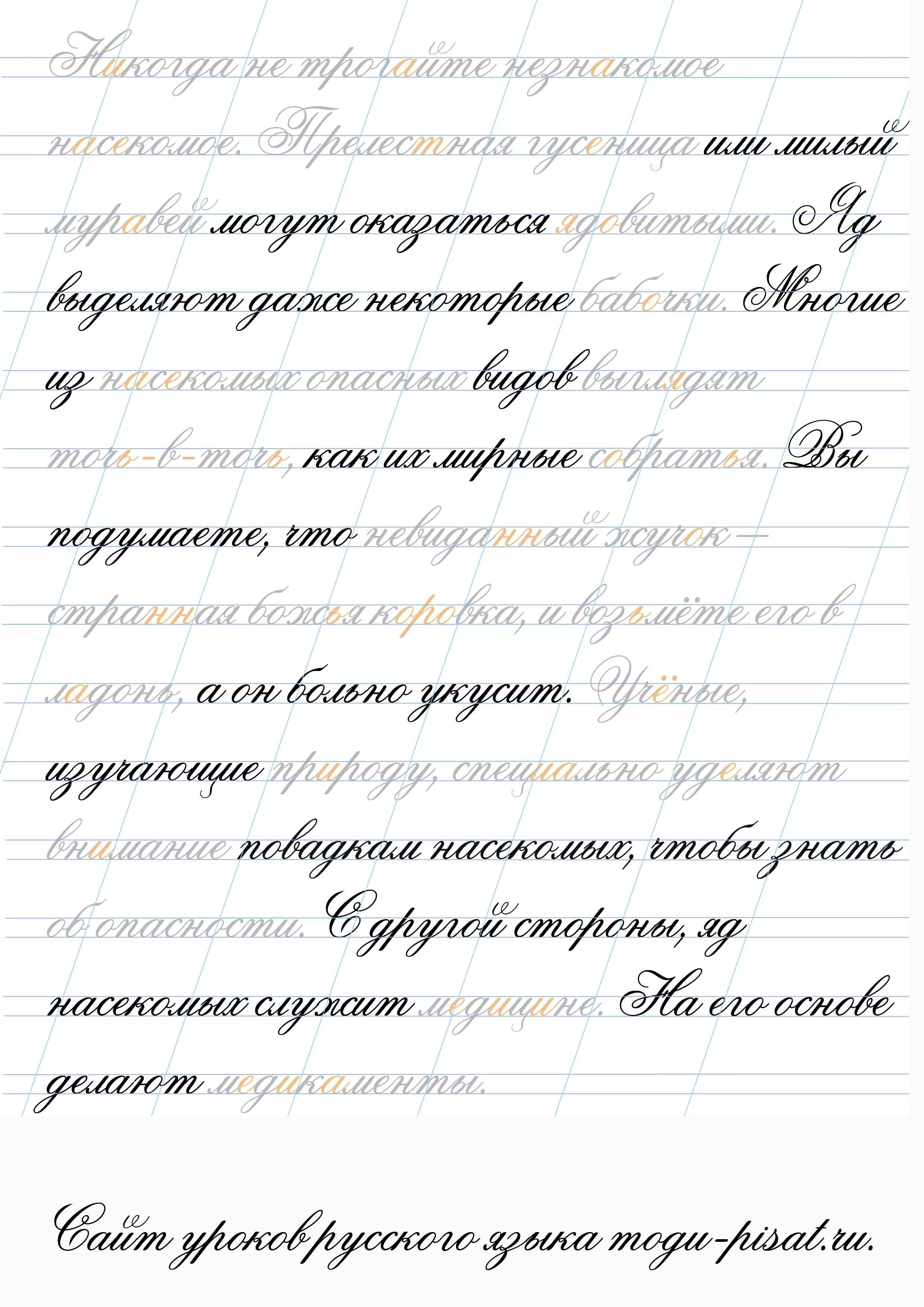 Прописи текст. Обводить текст. Чистописание исправление почерка. Прописи предложения.