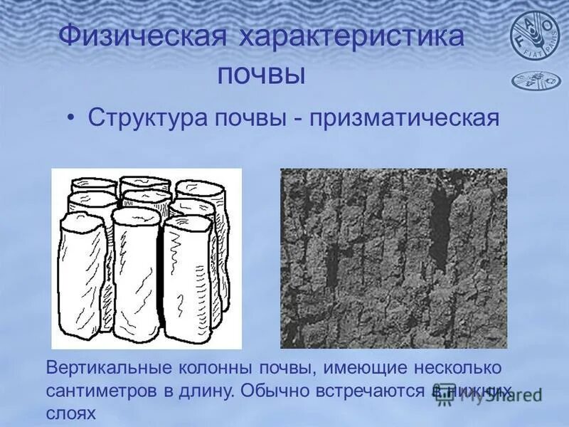 Строение почвы в разрезе. Структура и структурность почвы. Состав и структура почвы. Состав и структура почвы. От чего зависит плодородие почвы.