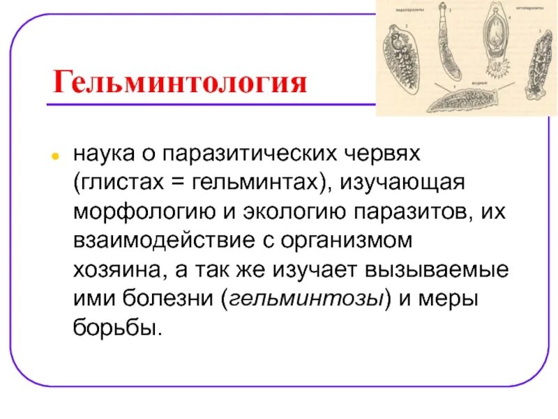 Паразитические черви имеют. Гельминтология. Классификация гельминтозов. Наука о паразитических червях. Гельминтология черви паразиты. Паразитические черви презентация.