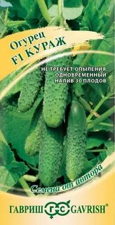 Огурцы кураж ф1 описание сорта фото отзывы
