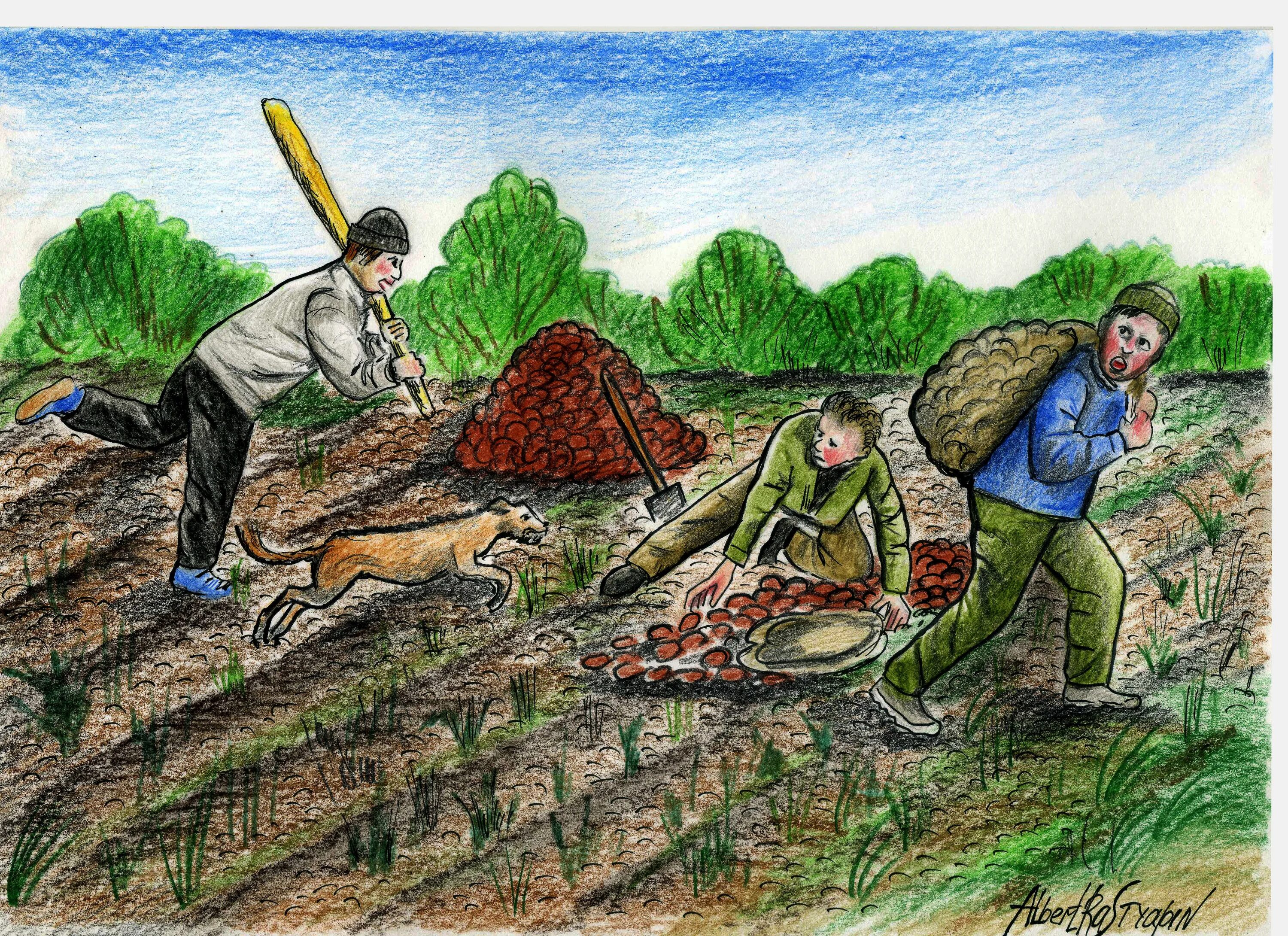 Копают картошку карикатура. Люди копают картошку. Копают урожай. Работа в огороде рисунок. Глупый труд