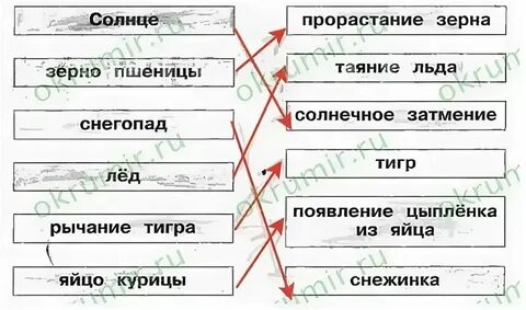 Отметьте зеленым цветом объекты