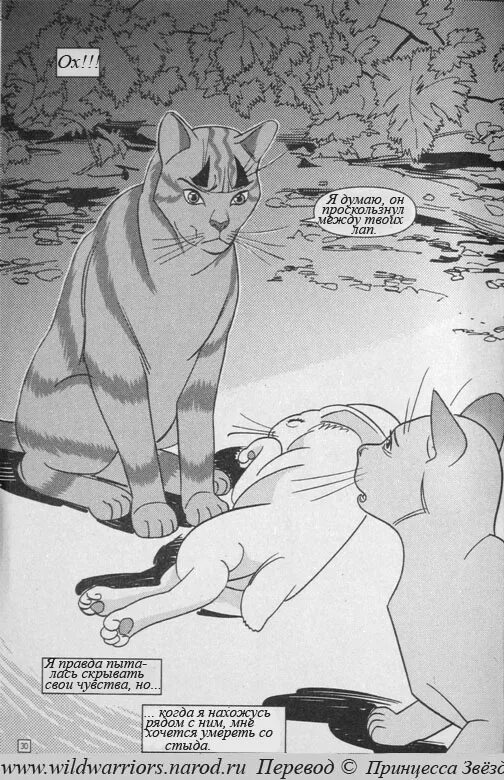 Коты воители расколотое небо читать. Коты воители манга звездоцап и саша. коты воители звездоцап и саша в поисках дома. коты воители звездоцап и саша. коты воители звездоцап и саша комикс.
