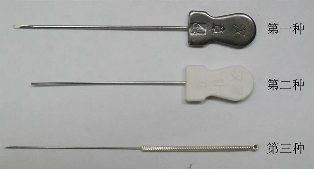 Иглонож. Иглонож. Иглонож в китайской медицине. Иглонож. Иглоукалывание иглонож.