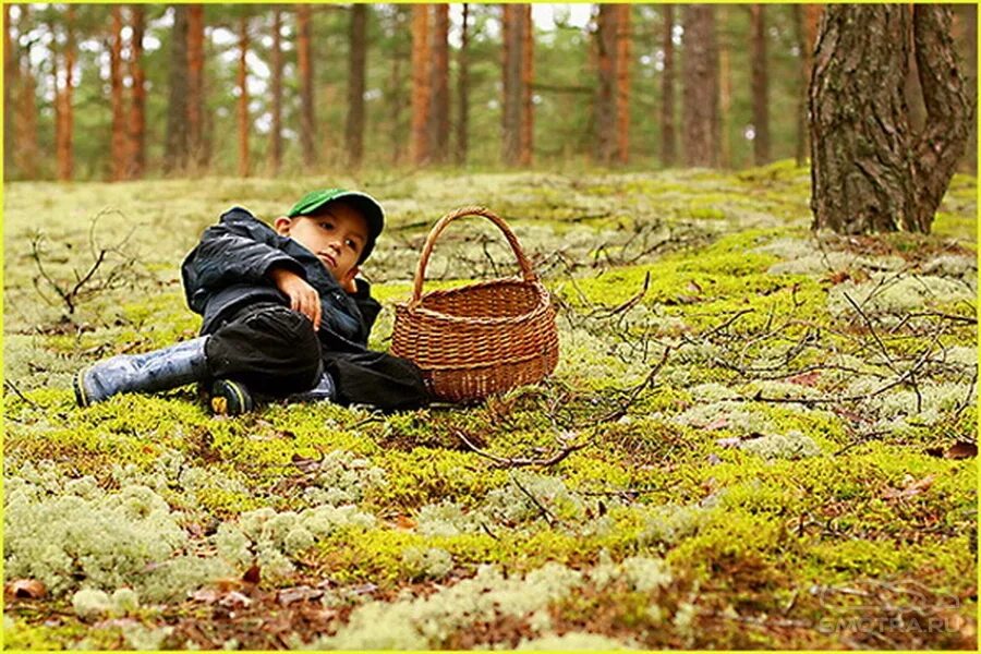 Мальчик в лесу с корзинкой. Мальчик собирает грибы в лесу. Фотосессия в лесу. Дети собирают грибы. 1 из 3 в котором можно заблудиться