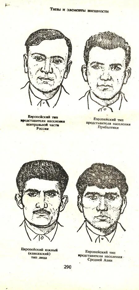 армянка диана шнорхокян. разные черты лица девушек. внешность девушек разных наций. кавказский тип лица. антропология кавкасионская.