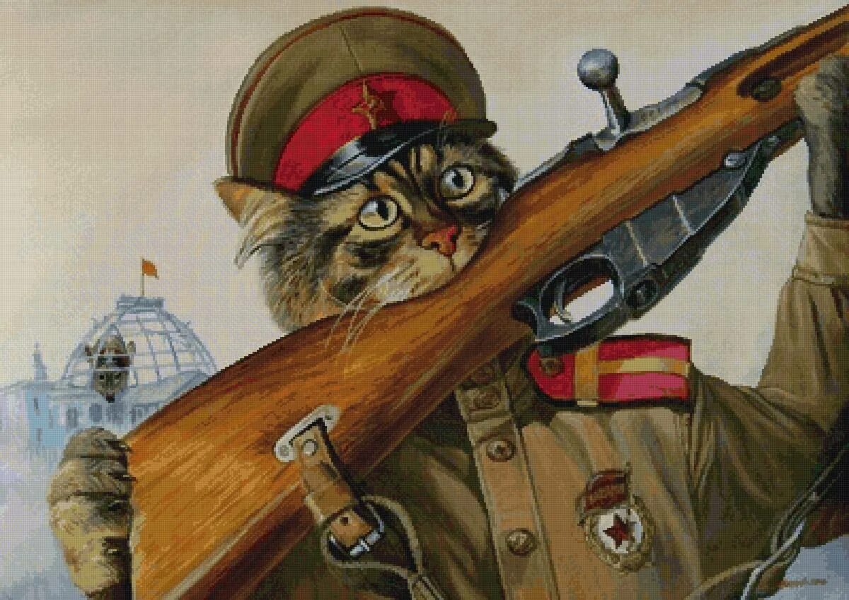 С днем победы кошки. С днем победы кошки