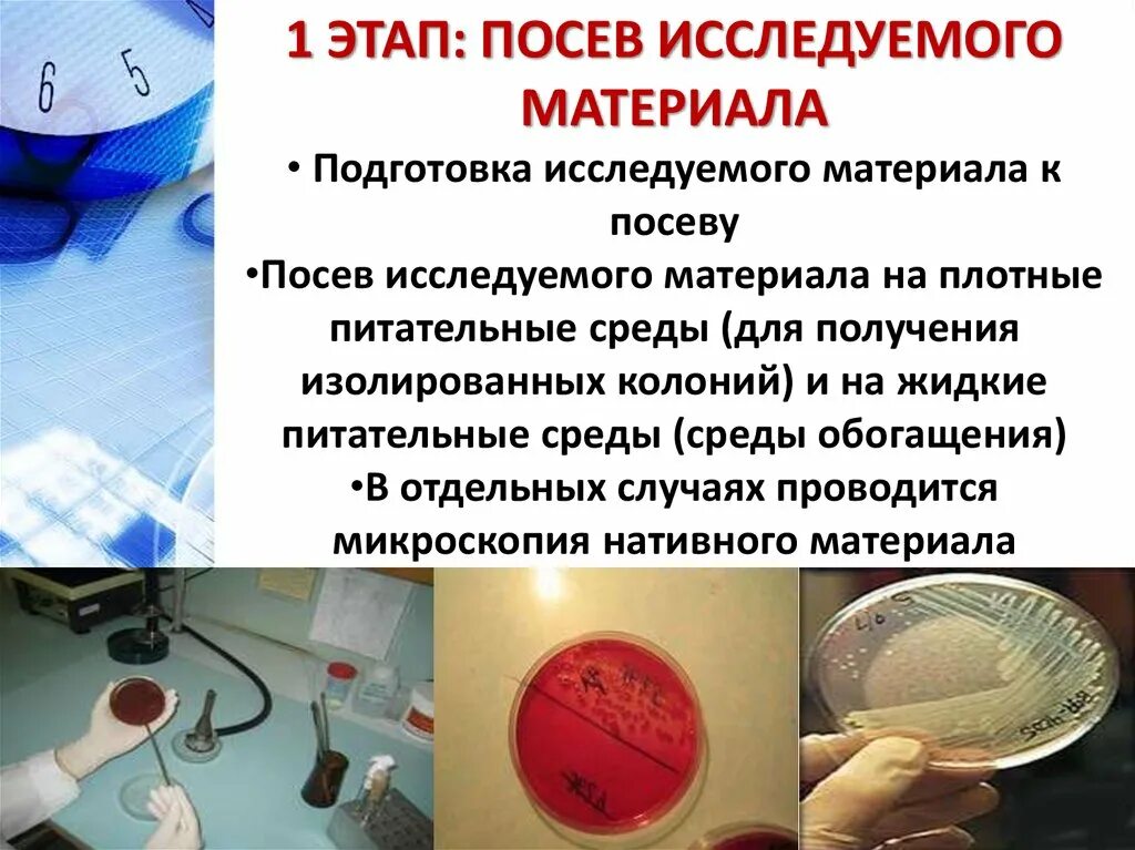 Посев выделяемого из. Посев материала на питательные среды. посев исследуемого материала.