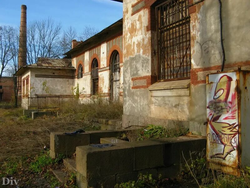 Никольское психиатрическая. Психиатрическая больница в Гатчине. Больница Кащенко Гатчина. Кащенко психиатрическая больница Гатчина. Кащенко Никольское.