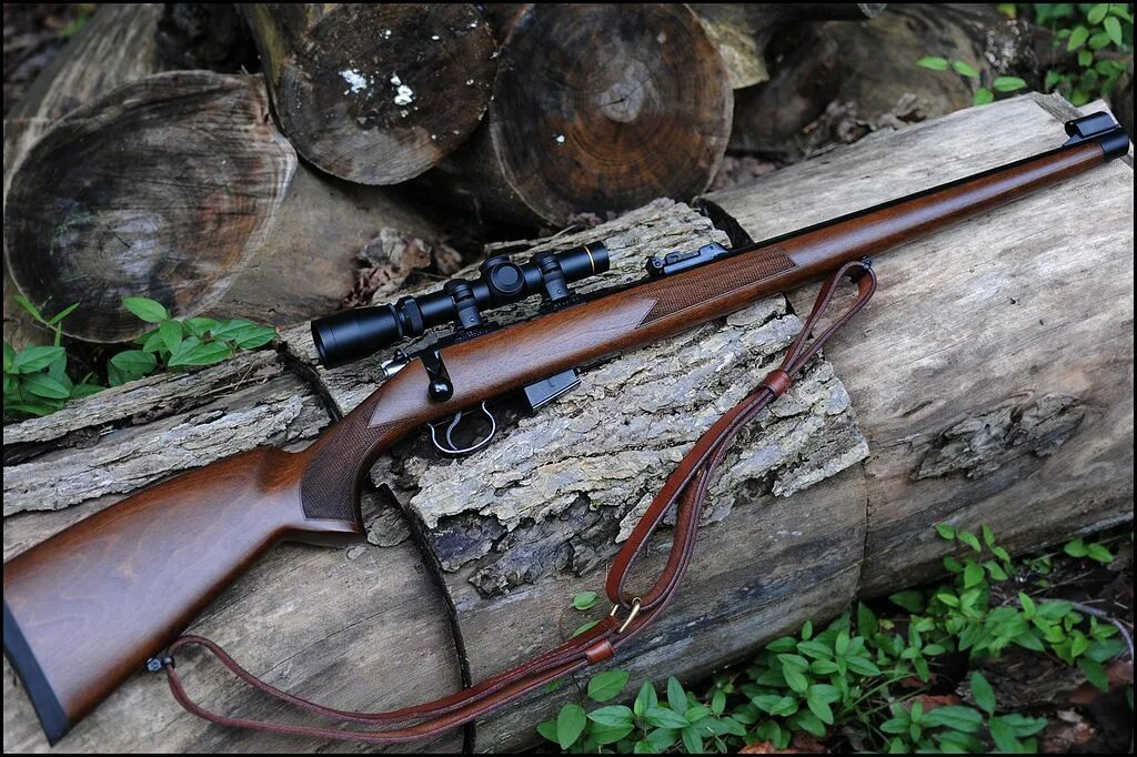 Оружия красноярский край. Карабин cz FS 22 LR. Cz 452 FS 22lr. Cz 455 FS. Cz 455 FS 22 LR.