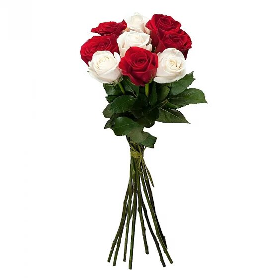 Красивые букеты из роз. Розы красные и белые. 5 роз белых и красных. 5 роз белых и красных. Розы красные и белые.