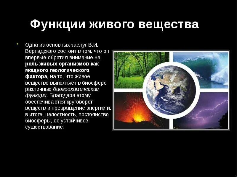 Выберите примеры живого вещества биосферы Фотографии ЭНЕРГЕТИЧЕСКАЯ ФУНКЦИЯ БИОСФЕРЫ ПРИМЕРЫ