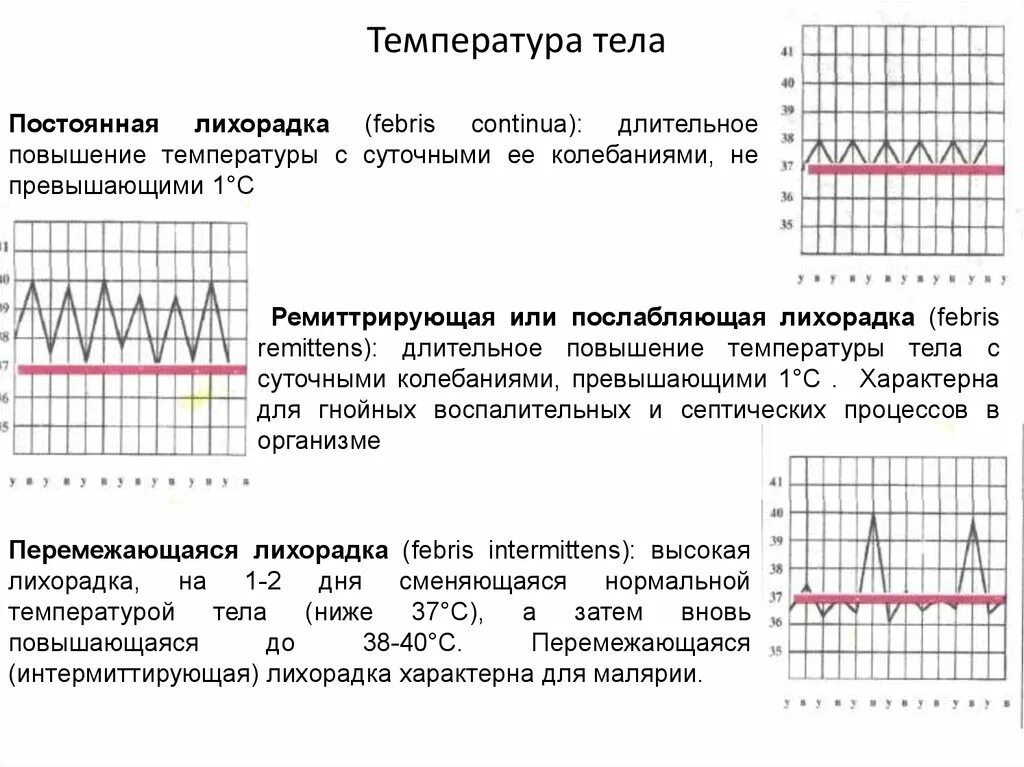 Температура при активности. Таблица изменения температуры тела. Графики температуры тела человека. Классификация температуры тела. Типы температуры тела у человека.