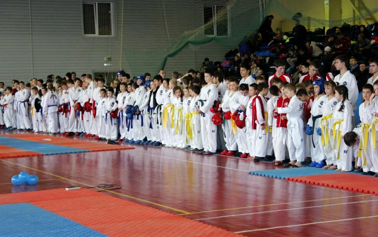 люберцы спортивный комплекс. секция карате люберцы. спорт секции. кекушин карате город люберцы. секции люберцы.