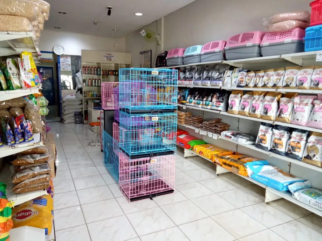 Pet shop зоомагазин. Магазин товаров для животных. Pet shop магазин для животных. Интернет зоомагазин. Pet shop магазин