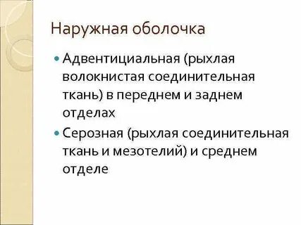 Адвентициальная оболочка