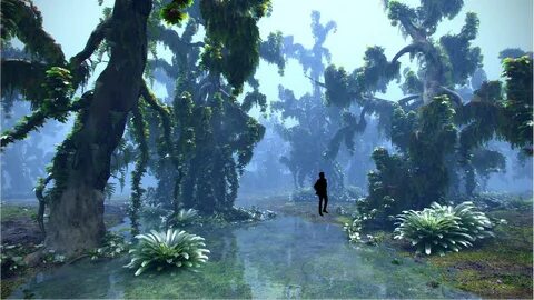 3d forest