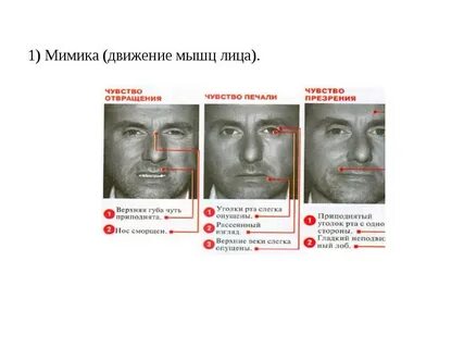 Сайт движение лица
