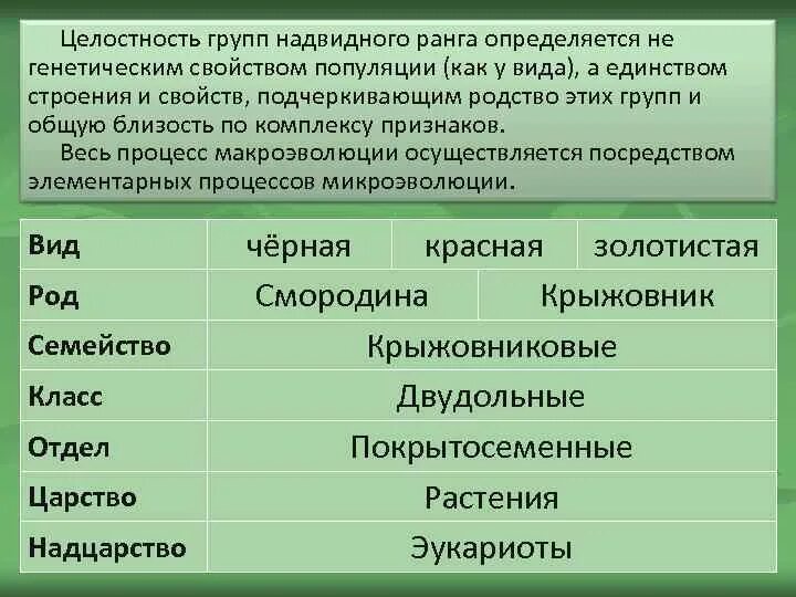 Процессы видообразования – микроэволюция.. Микроэволюция таксономические группы. Видообразование макроэволюции. Общее и различия микроэволюции и видообразования. Микроэволюция в каких группах организмов