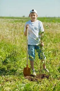 Boys plant